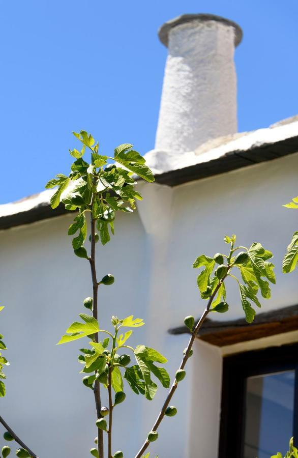 Apartmán Casa Cecilia Bubión Exteriér fotografie